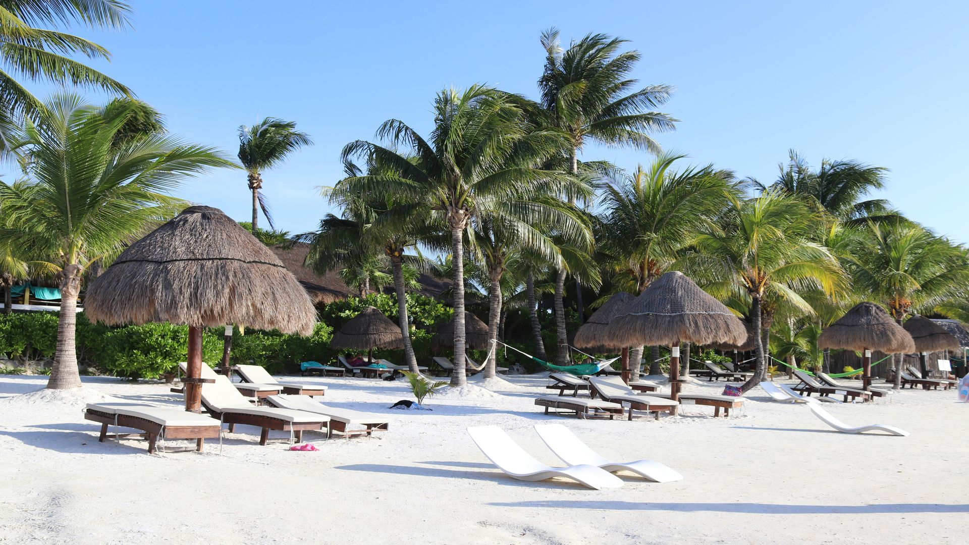 Paradise By The Sea- Cabo San Lucas, Puerto Vallarta